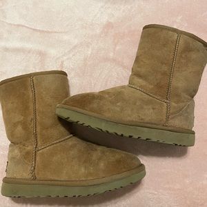 Brown Ugg Short Classic